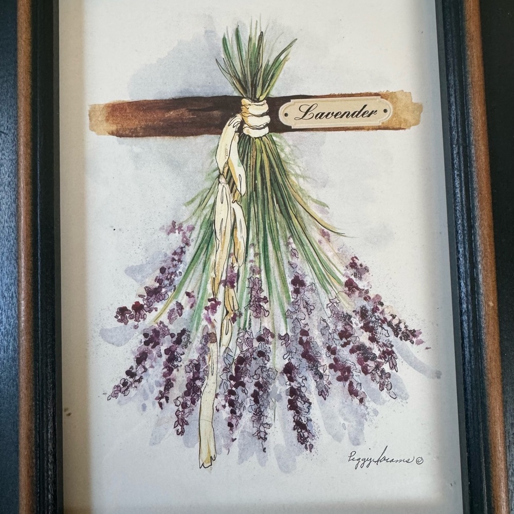 Vintage Botanical Art. - FULL SET Peggy Abrams